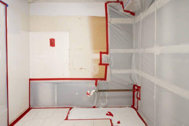 Best Mold Remediation for Vacation Homes  in Gering, NE