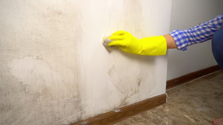 Best Biohazard Mold Removal  in Gering, NE