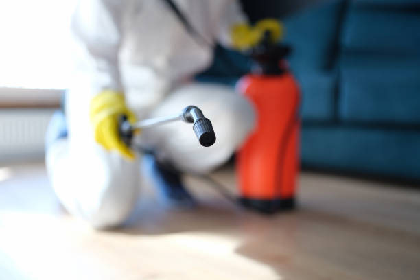 Best Asbestos and Lead Testing During Mold Inspection  in Gering, NE
